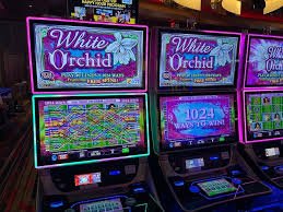 234bet app
